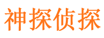 田东市私家侦探